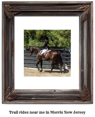 trail rides near me in Morris, New Jersey